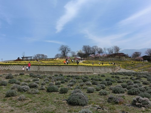 140413-1.jpg