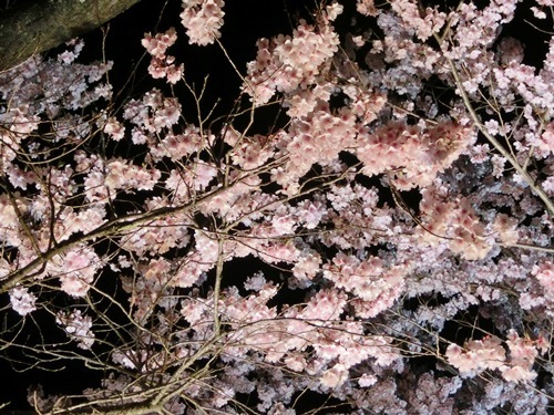 140419-12.jpg