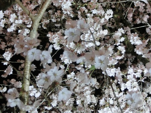 140419-13.jpg