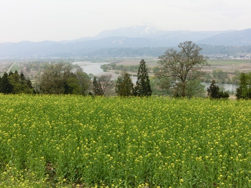 140429-8.jpg
