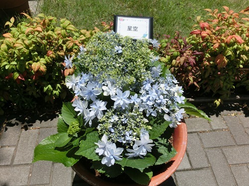 140613-2.jpg