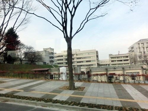 141124-36.jpg