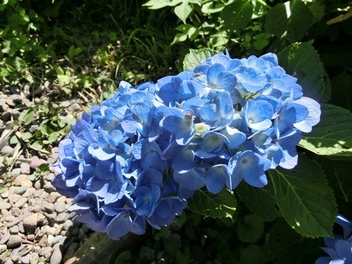 1507011-6.jpg