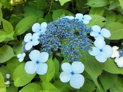 150711-18.jpg
