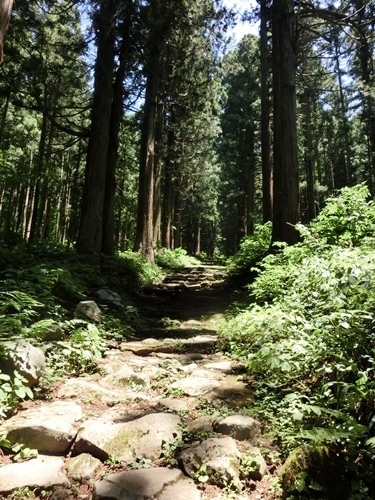 150711-20.jpg