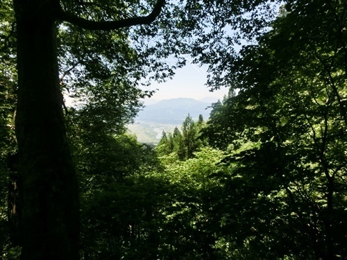 150711-28.jpg