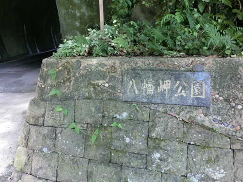 150720-勝浦 八幡岬公園-1.jpg