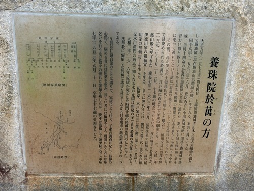 150720-勝浦 八幡岬公園-10.jpg