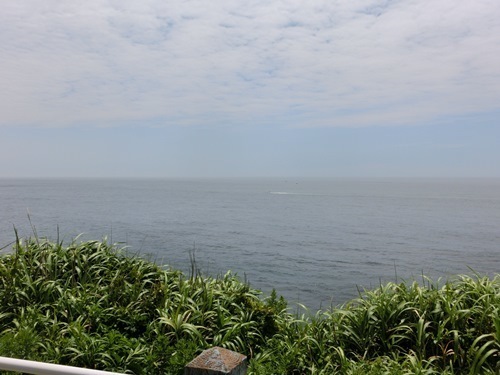 150720-勝浦 八幡岬公園-5.jpg