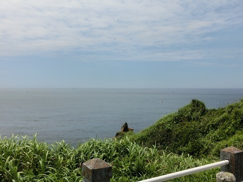 150720-勝浦 八幡岬公園-6.jpg