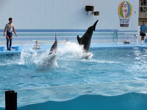 150921-上越水族館-2.jpg