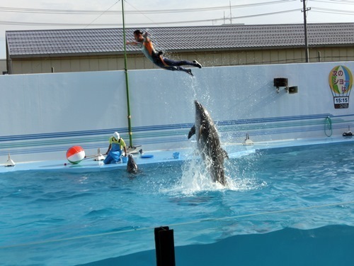 150921-上越水族館-4.jpg