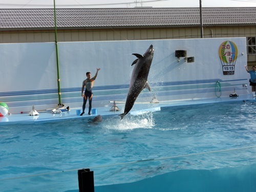 150921-上越水族館-7.jpg