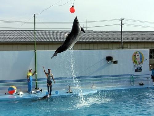 150921-上越水族館-8.jpg