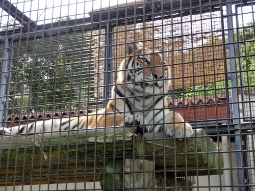 151003-茶臼山動物園とジンギスカン-1.jpg