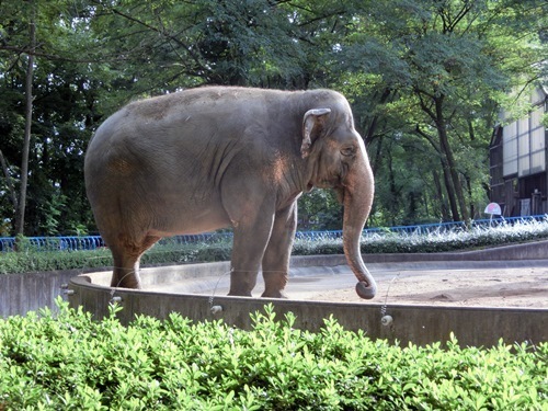 151003-茶臼山動物園とジンギスカン-10.jpg