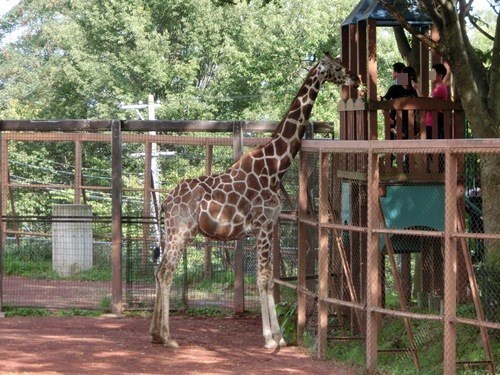 151003-茶臼山動物園とジンギスカン-2.jpg