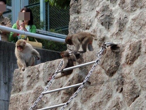 151003-茶臼山動物園とジンギスカン-3.jpg