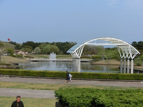160423-ひたちなか海浜公園 ネモフィラ-1.jpg