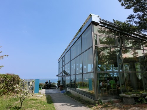 160423-ひたちなか海浜公園 ネモフィラ-27.jpg