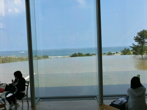 160423-ひたちなか海浜公園 ネモフィラ-28.jpg