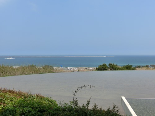 160423-ひたちなか海浜公園 ネモフィラ-29.jpg
