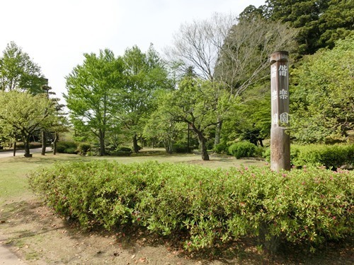 160524-茨城県 偕楽園-1.jpg
