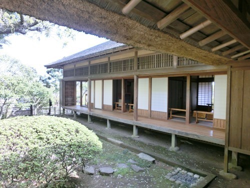 160524-茨城県 偕楽園-11.jpg