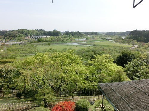 160524-茨城県 偕楽園-18.jpg