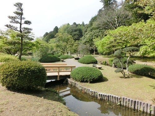 160524-茨城県 偕楽園-2.jpg