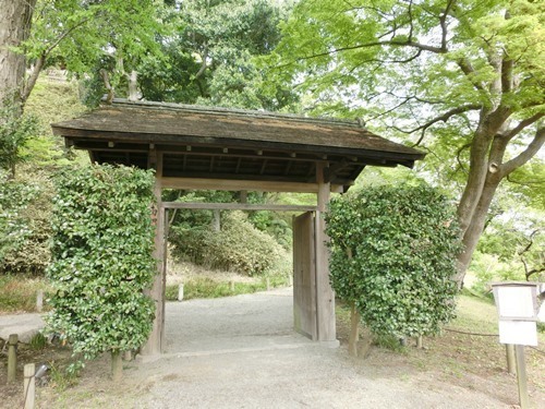 160524-茨城県 偕楽園-3.jpg