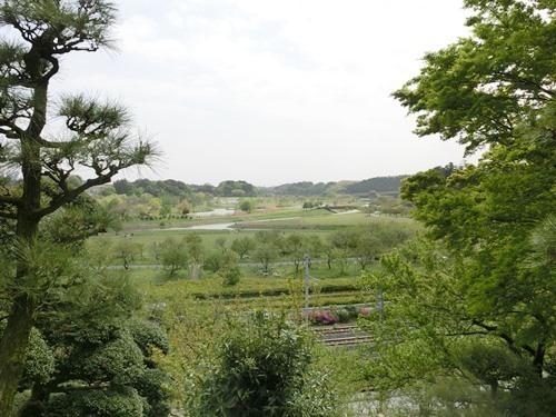 160524-茨城県 偕楽園-7.jpg
