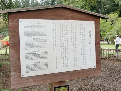 160524-茨城県 偕楽園-9.jpg