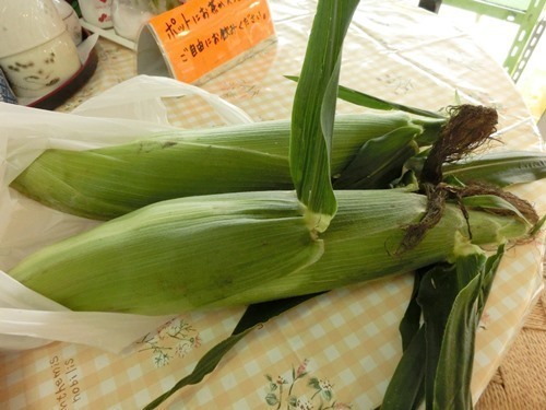 160718-妙高のジェラートと、信濃町のとうもろこし-1.jpg
