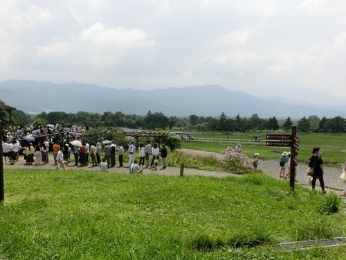 160807-清里 清泉寮 吐竜の滝-2.jpg