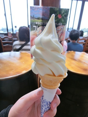 160807-清里 清泉寮 吐竜の滝-4.jpg