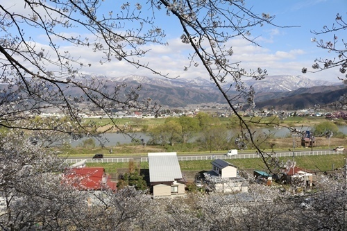 170422-飯山城址の桜-7.jpg