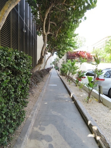 170522-ハワイ旅行 ワイキキ パワースポット カヴェヘヴェヘ-1.jpg